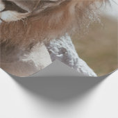 PAPIER CADEAU M. LION (Coin)