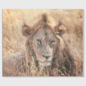 PAPIER CADEAU M. LION KING (Plat)