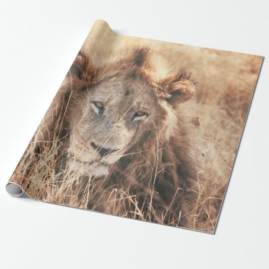 PAPIER CADEAU M. LION KING (Déroulé)