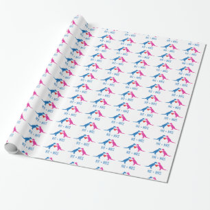 Papier Cadeau M.+Mme - Love Dinosaures