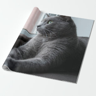 PAPIER CADEAU MA CUISINE SECOURUE ROUTEUR SUCRE