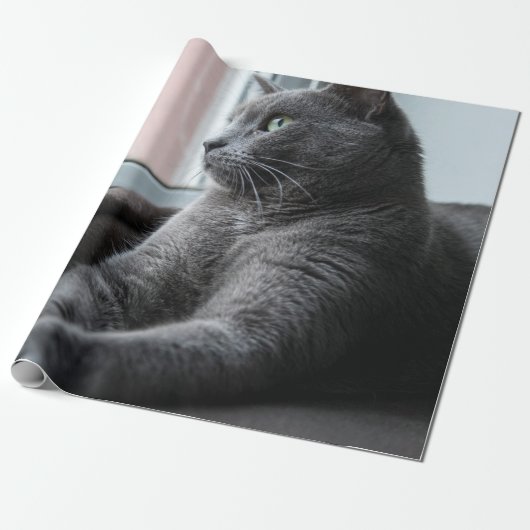 PAPIER CADEAU MA CUISINE SECOURUE ROUTEUR SUCRE (Déroulé)