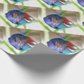 Papier Cadeau Macropodus Opercularis Aquarium Poisson (Coin)