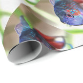 Papier Cadeau Macropodus Opercularis Aquarium Poisson (Coin rond)