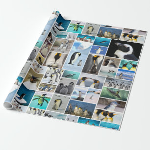 Papier Cadeau Magnifique Motif de Collage de photos de pingouins