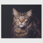 Papier Cadeau maine coon on a black background younganimal,cat,c (Plat)