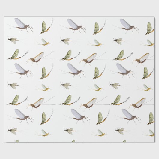 Papier Cadeau Mal (Plat)