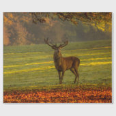 Papier Cadeau Mâle sauvage (Plat)