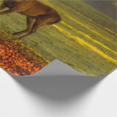 Papier Cadeau Mâle sauvage (Coin)