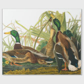 Papier Cadeau Mallard Duck par John James Audubon (Plat)