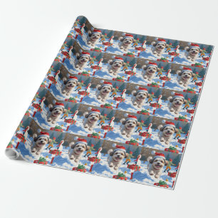 Papier Cadeau Malti Tzu courant dans la neige avec un chapeau de