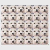 Papier Cadeau Maltipoo (Plat)
