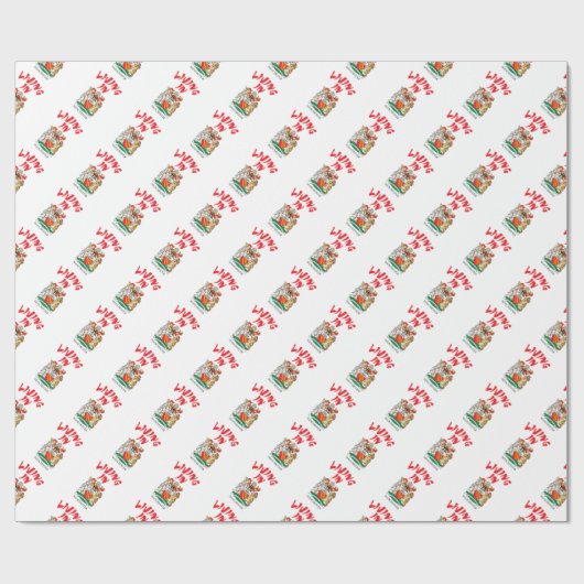 Papier Cadeau Manchester coat (Plat)