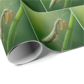 Papier Cadeau Mantis De Prière Sur L'Herbe (Coin rond)