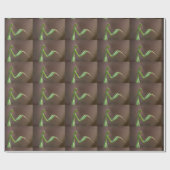 Papier Cadeau Mantis religiosa (Plat)