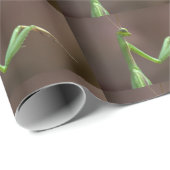 Papier Cadeau Mantis religiosa (Coin rond)