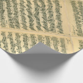 Papier Cadeau Manuscrit de Bach Chaconne pour le violon solo (Coin)