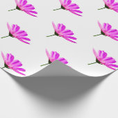 Papier Cadeau Marguerite rose (Coin)
