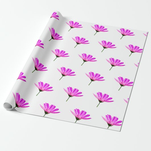 Papier Cadeau Marguerite rose (Déroulé)