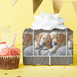 Papier Cadeau Marionnettes Golden Retriever dormant