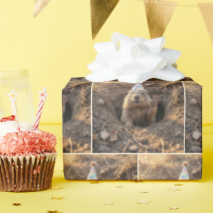 Papier Cadeau Marmotte avec un chapeau de fête d'anniversaire