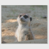 Papier Cadeau Meerkat 004 (Plat)