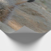 Papier Cadeau Meerkat 004 (Coin)