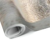 Papier Cadeau Meerkat 004 (Coin rond)