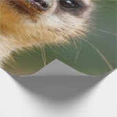 Papier Cadeau Meerkat 005 (Coin)