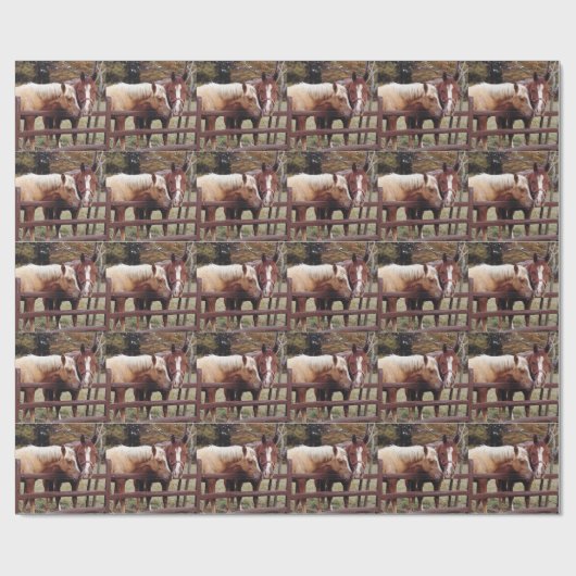 Papier Cadeau Meilleurs amis (Plat)