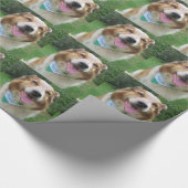 Papier Cadeau mélange de cônes (Coin)