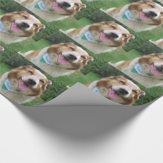 Papier Cadeau mélange de cônes (Coin)