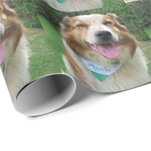 Papier Cadeau mélange de cônes (Coin rond)