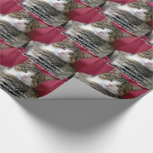 Papier Cadeau Mème de chat (Coin)