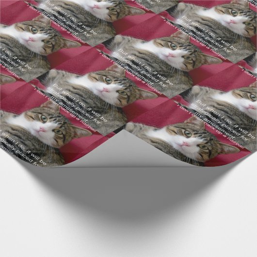 Papier Cadeau Mème de chat (Coin)