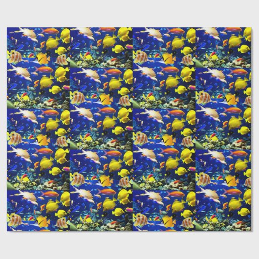 Papier Cadeau mer de poisson (Plat)