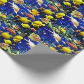 Papier Cadeau mer de poisson (Coin)