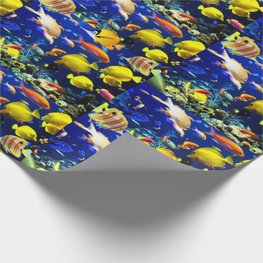 Papier Cadeau mer de poisson (Coin)