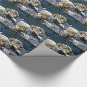 Papier Cadeau Mer-loutres (Coin)