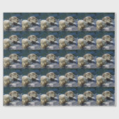 Papier Cadeau Mer-loutres (Plat)