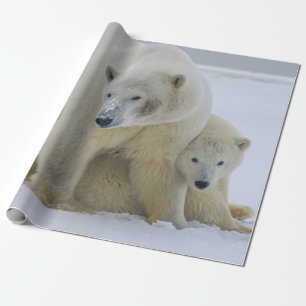 PAPIER CADEAU MÈRE DE L'OURS POLAIRE ET CUB NORD ALASKA