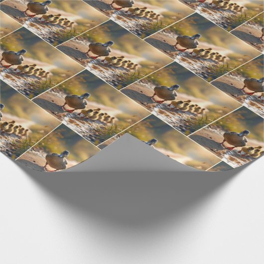 Papier Cadeau Mère Mallard Canard Avec Collier (Coin)