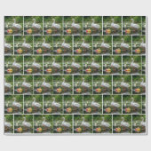 Papier Cadeau Mère Oie Avec Bébé Gosling (Plat)