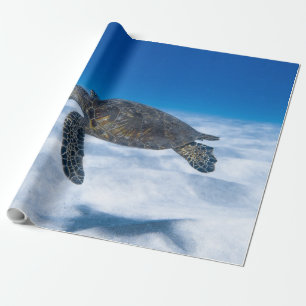 Papier Cadeau Merveilleuse tortue aquatique