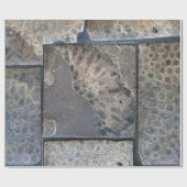 Papier Cadeau Michigan Petoskey Stone (Plat)