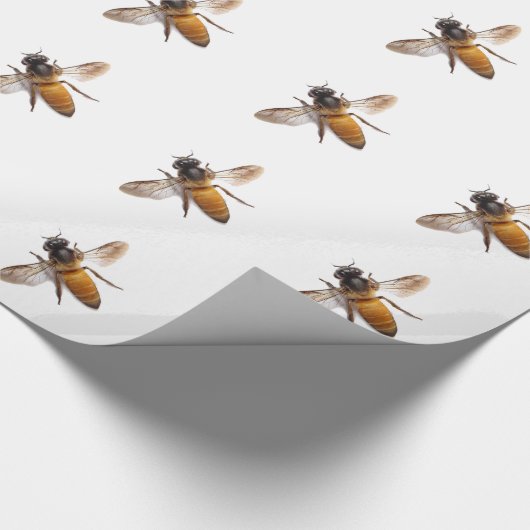 Papier Cadeau Miel Bee (Coin)