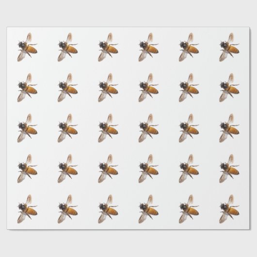 Papier Cadeau Miel Bee (Plat)