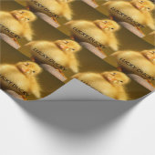 Papier Cadeau Mignon chanceux (Coin)