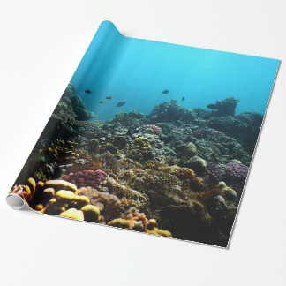 Papier Cadeau Milieu marin dans le Pacifique