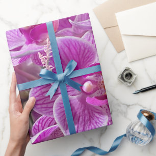 Papier Cadeau Mini Phalaenopsis Sogo Vivien Orchidée violet